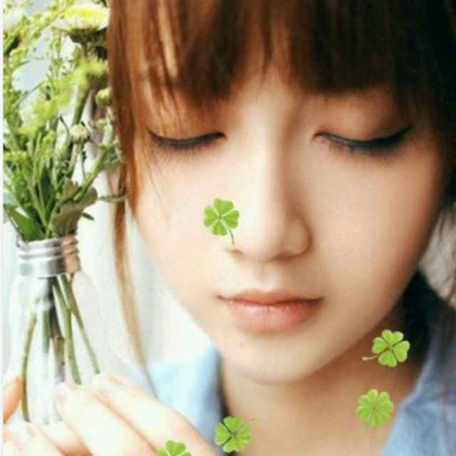 小海豚_34304993
