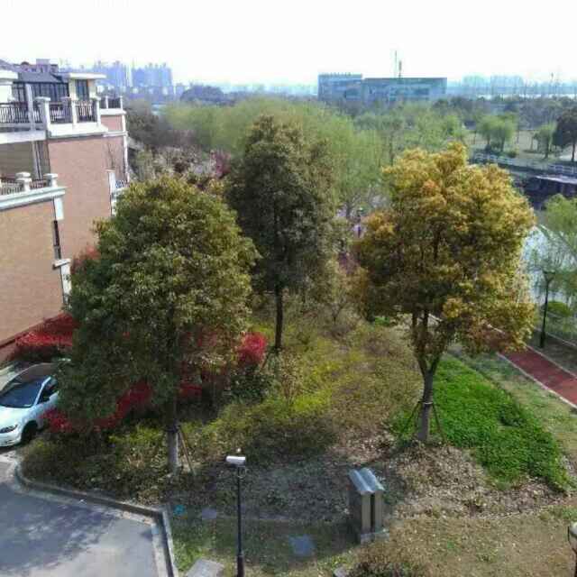 倾城一笑醉红尘