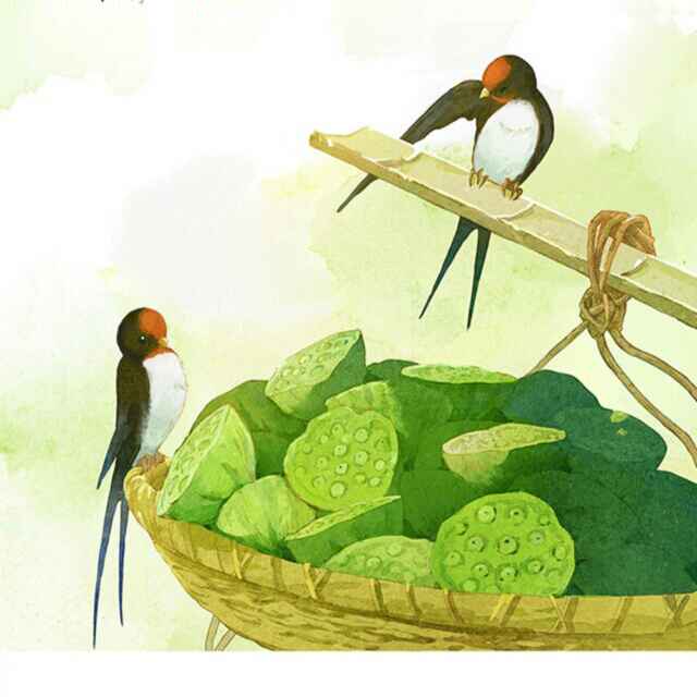 小海豚_36601149