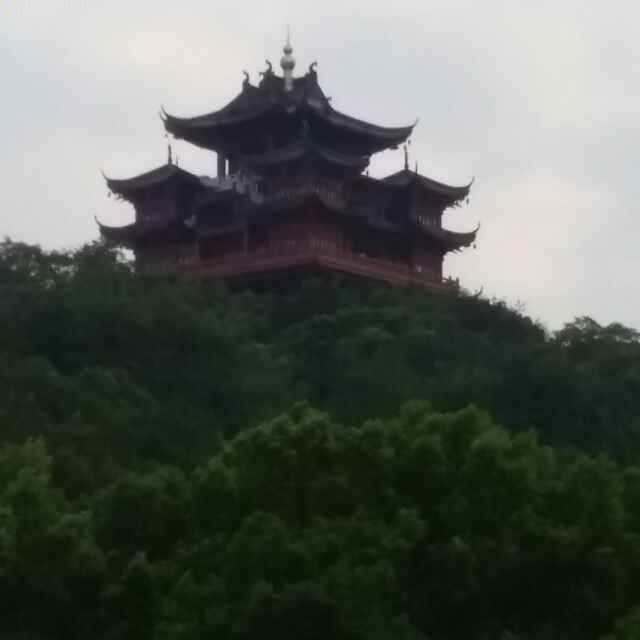 小海豚_28789544