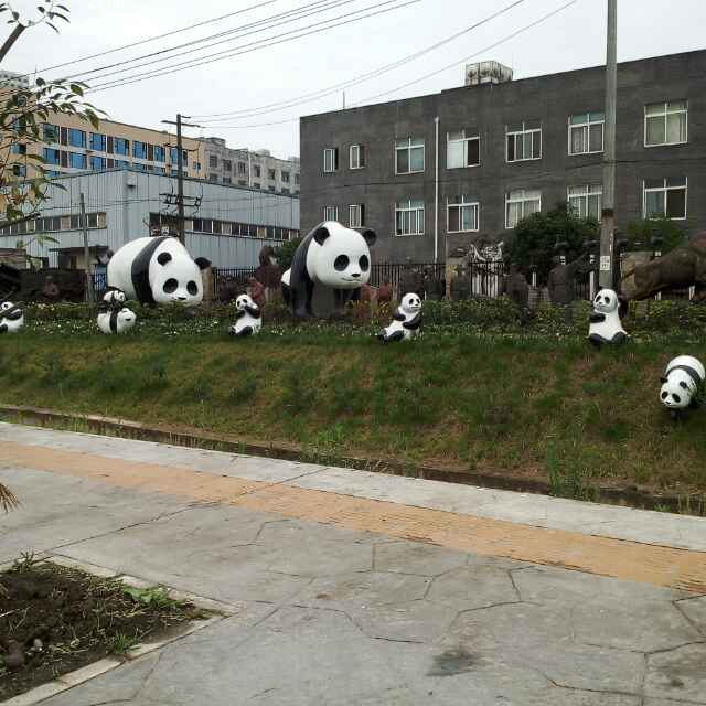 小海豚_31275882