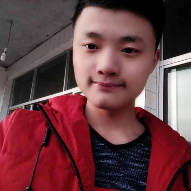 小海豚_32979989