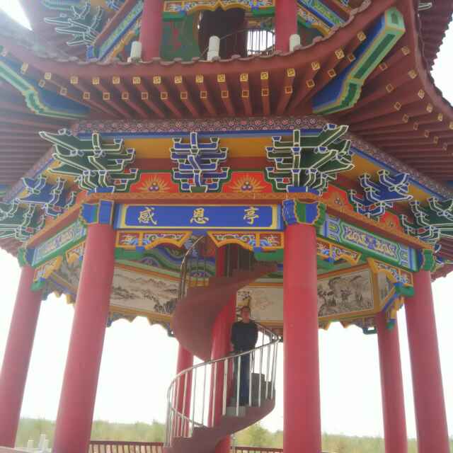 小海豚_28282582