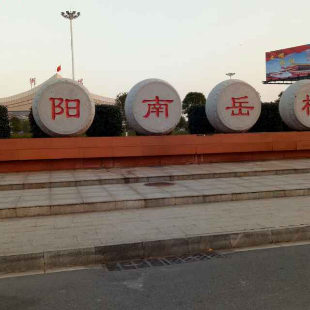 小海豚_25111528