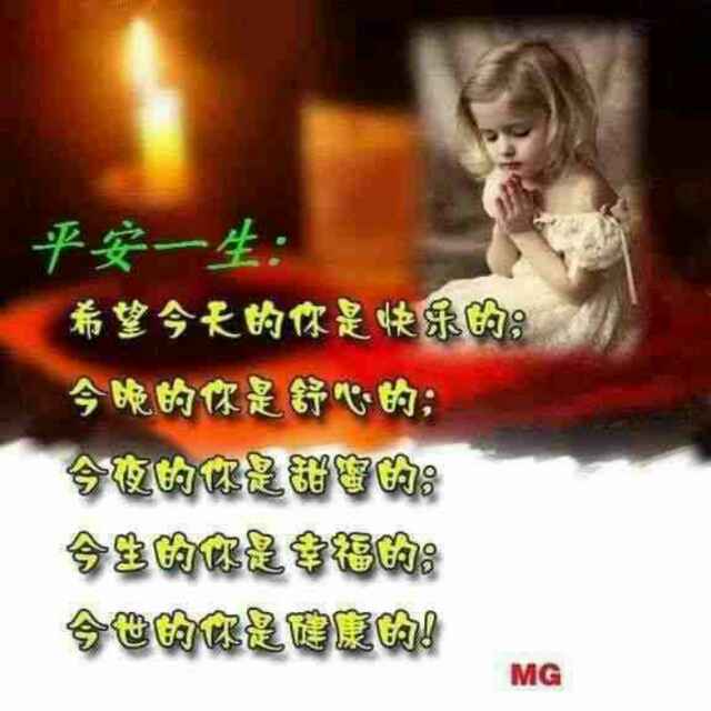 小海豚_27329517