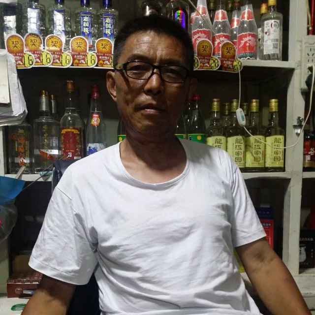 小海豚_23060299