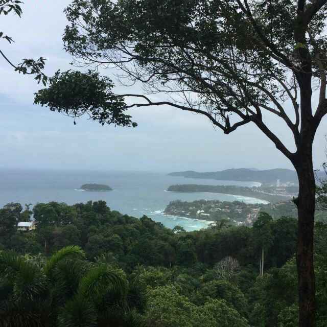 小海豚_32674613