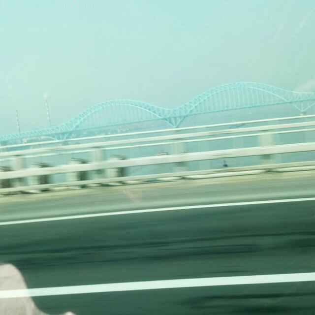 小海豚_25987234
