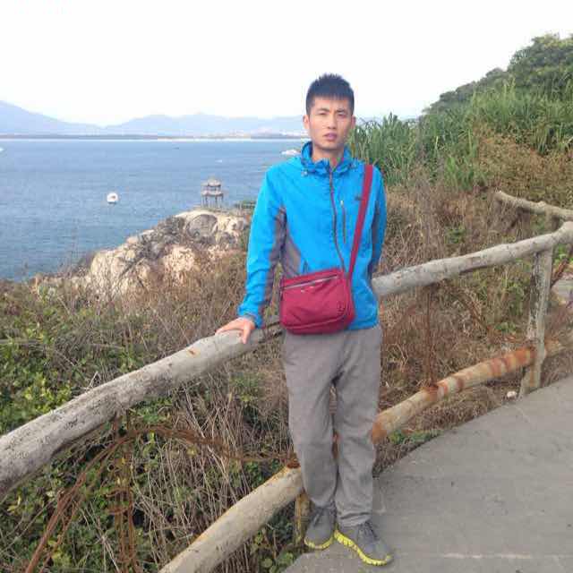 小海豚_38778299
