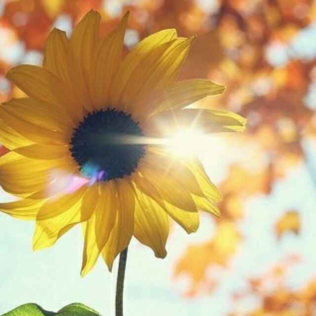 书友20170704203115