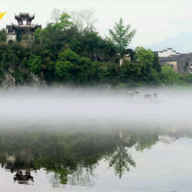 张旭东