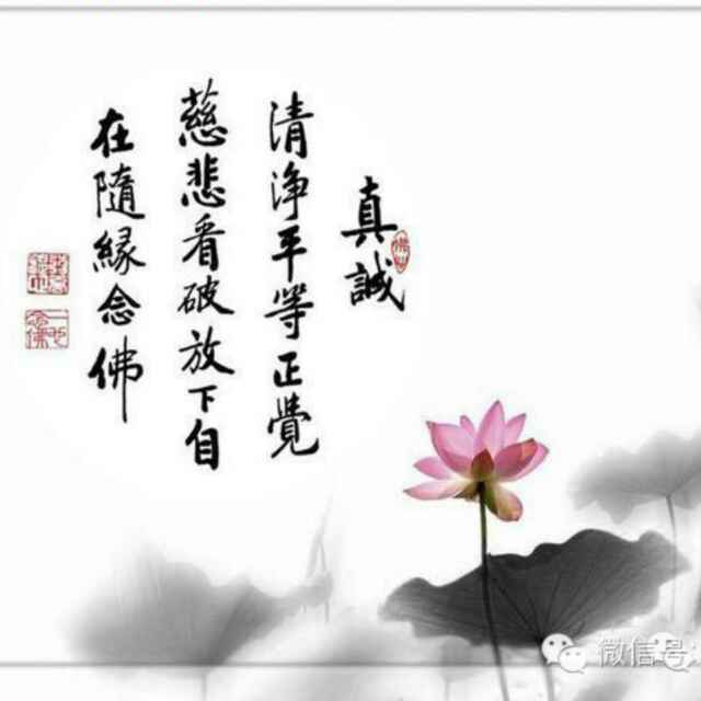 理解