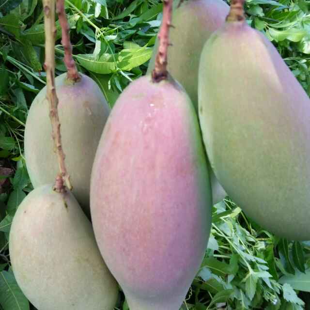 书友20170704225659