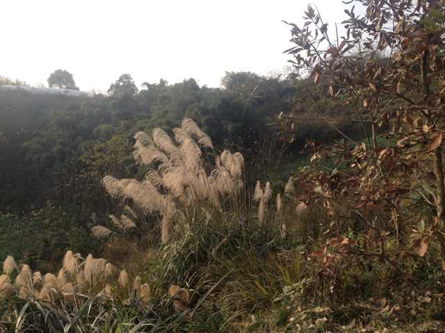 蓝天