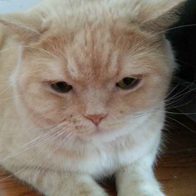 曾大姐