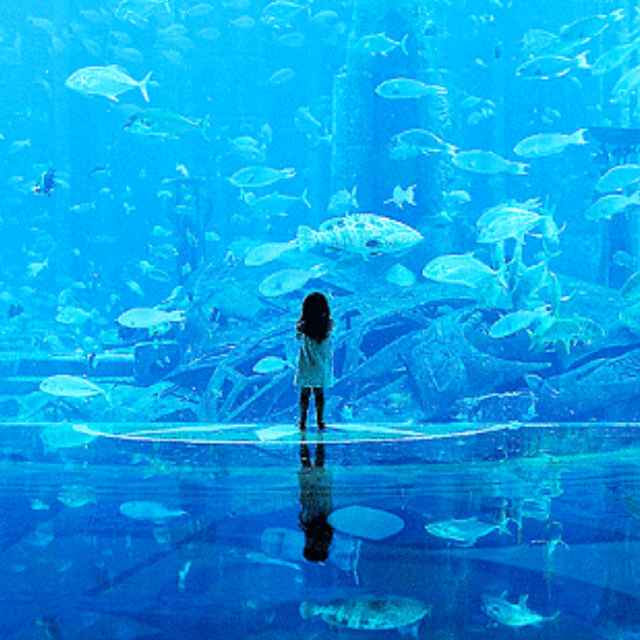 MANY、FISH~