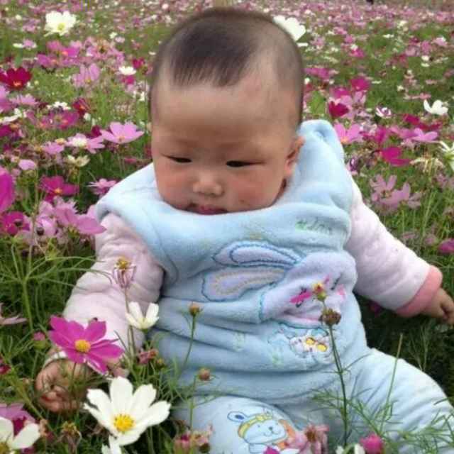 桥哥、随心所欲