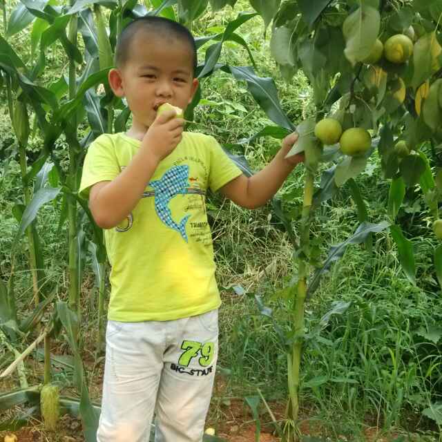 传奇GHJ
