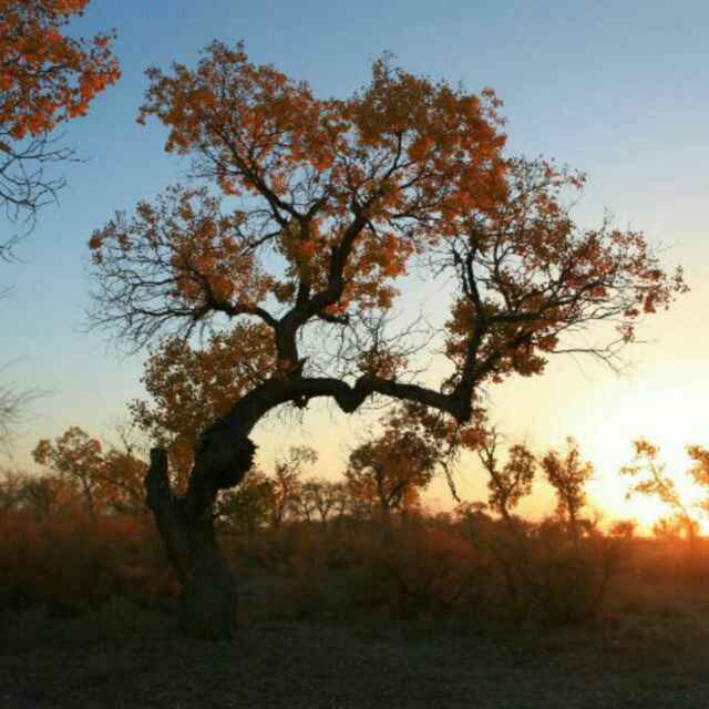 书友20160624063050