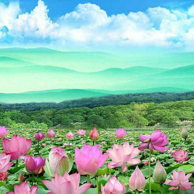 自强厚德