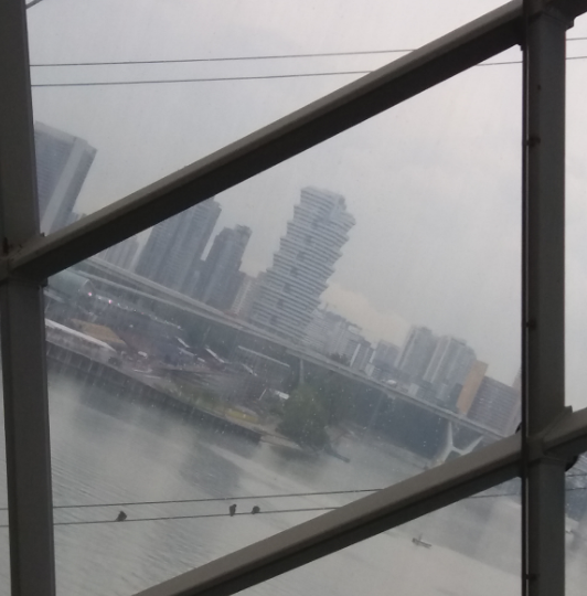 小果丁