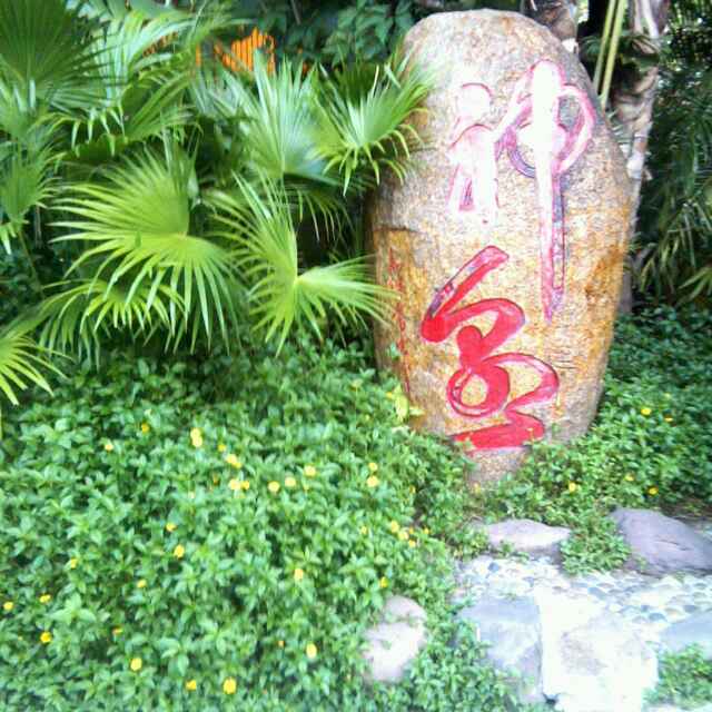 书友20160401221439