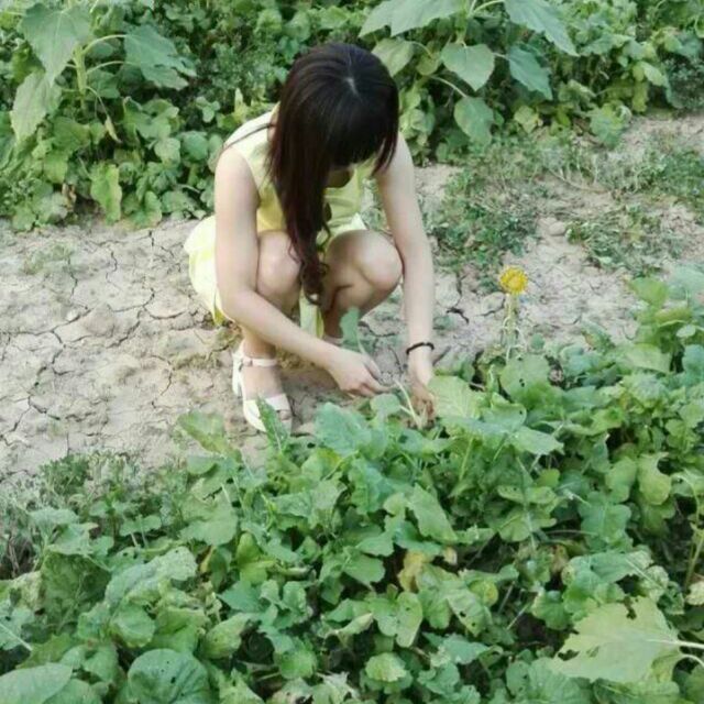   露西