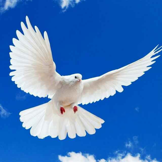 50阳光