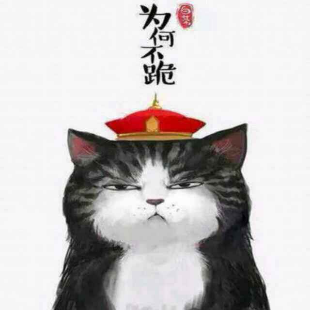 胡凯龙