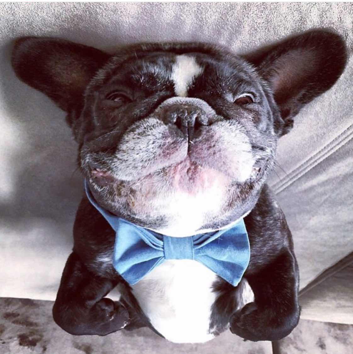 🍼宝贝丽儿🍿