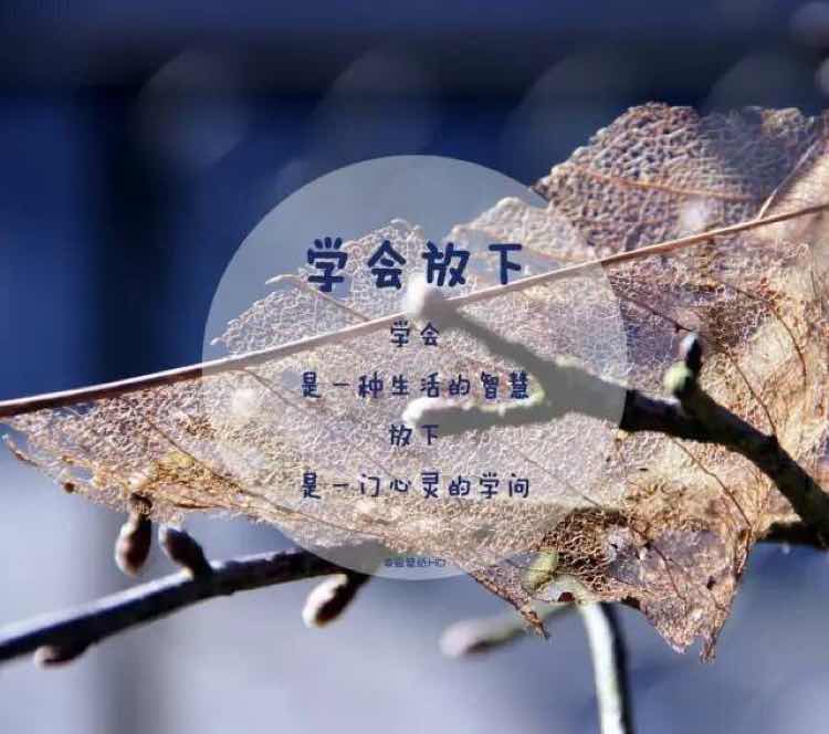 书友20160823000120