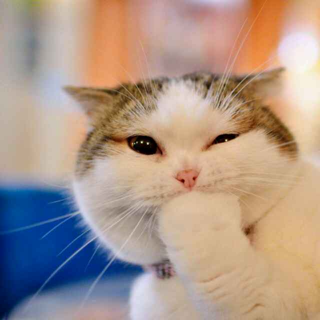 清明不怕