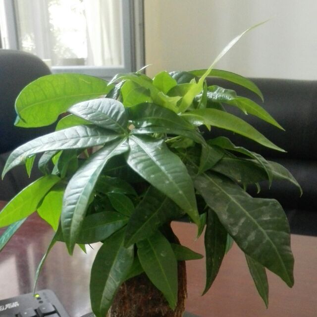 书友20170415085153