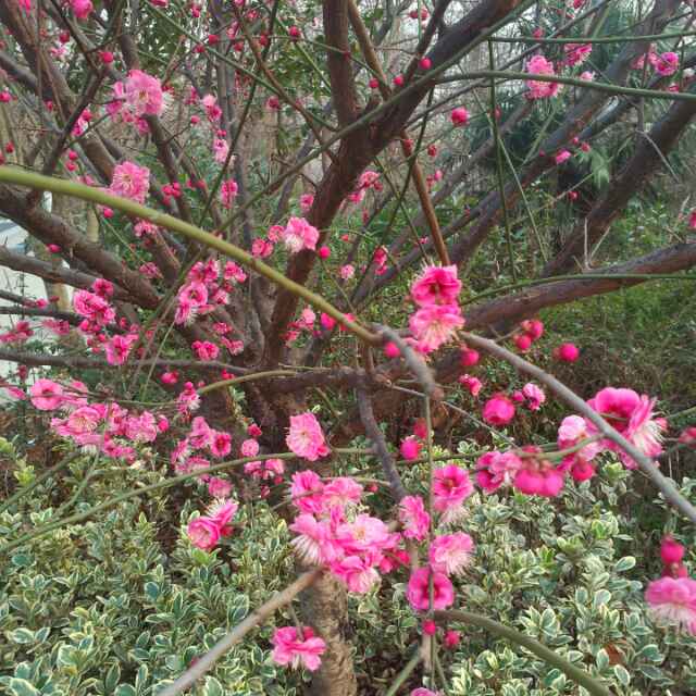 书友20160607192043