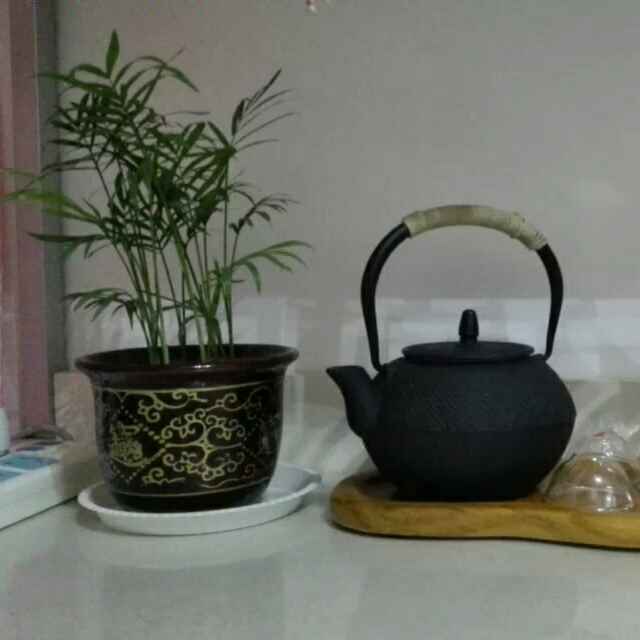 逝水流年