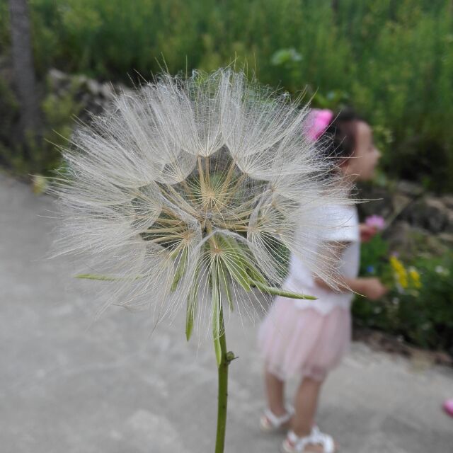 那小子