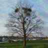 http://wx.qlogo.cn/mmopen/anblvjPKYbN124ibFF2PMicKTRyBIkZww9W2b8oIcusMpYHo6OKYLdqiawEYTmsuyShjB5hNDdEoGlZaln4MZsxKg/96