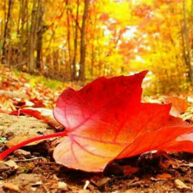 书友20170411204324