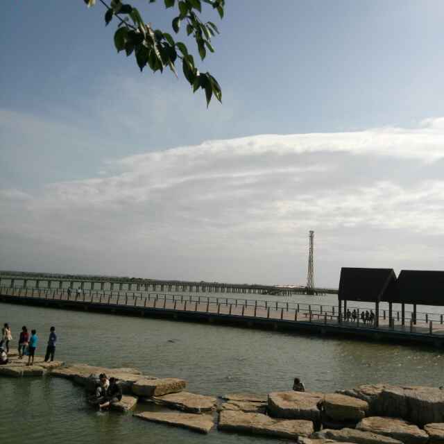 书友20170308221807