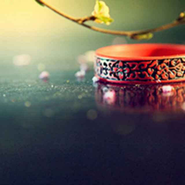 空中田園-許小姐