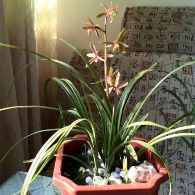 书友20160502225501