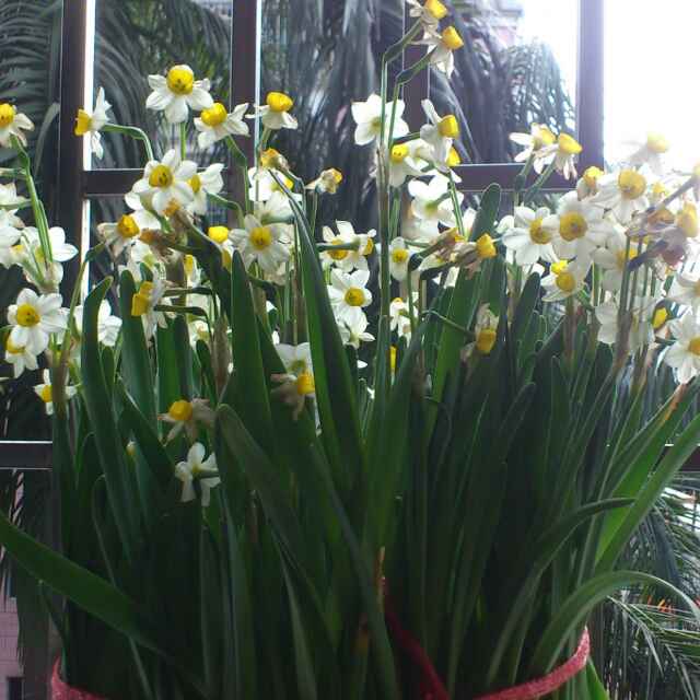 书友20160130225625