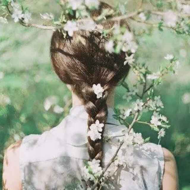 兰花草🌹