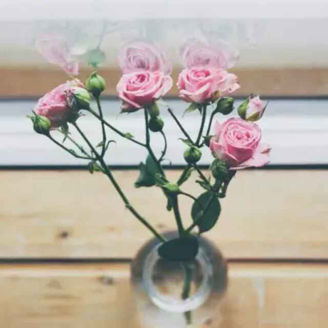 书友20160914232357