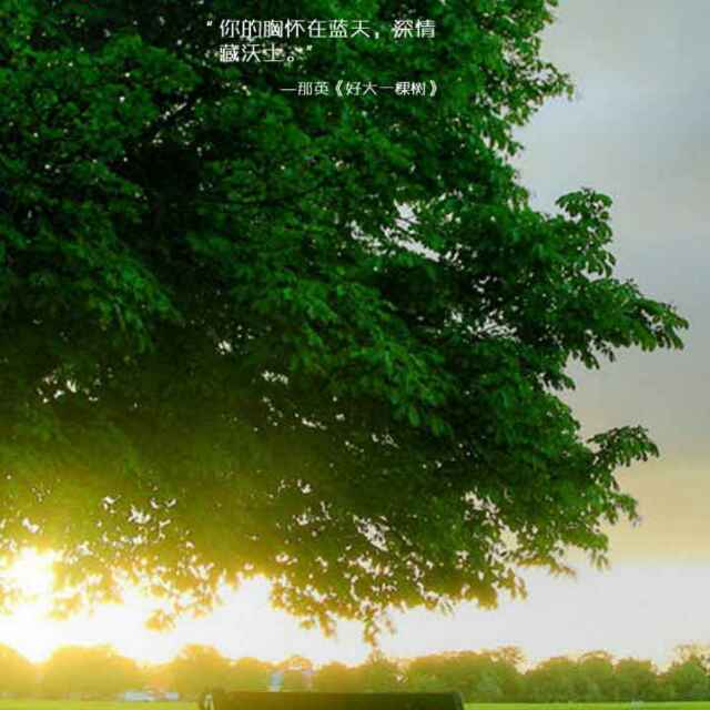 书友20161210103545