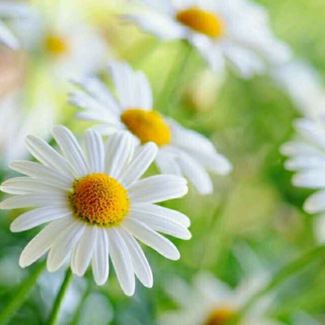 书友20161007121049