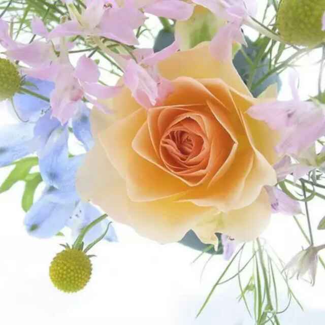 书友20160523191640