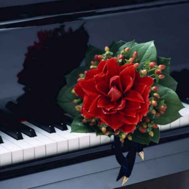 书友20160324220502