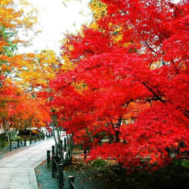 书友20161027162933