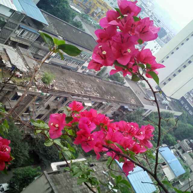 晴天